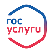 Авторизация в электронном дневнике.